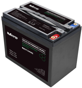 Lithium Master 48v 75ah LiFePO4 Deep Cycle Battery